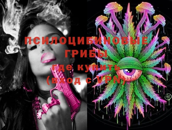 дживик Алексеевка