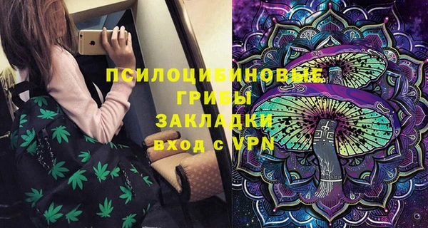 шишки Алексин