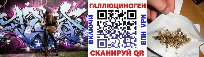 Псилоцибиновые грибы Magic Shrooms  blacksprut зеркало  дарк нет Telegram  Шелехов 